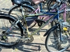 WP_20150518_09_33_28_ok.jpg